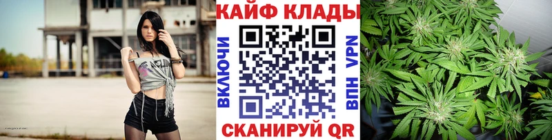 Как найти закладки Балашиха Гашиш  Амфетамин  Галлюциногенные грибы  МЕФ  МАРИХУАНА  Альфа ПВП 