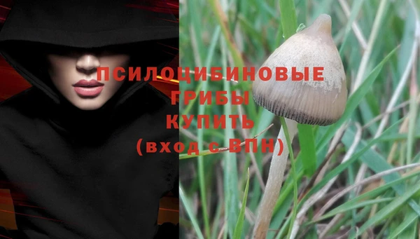 бутират Белокуриха