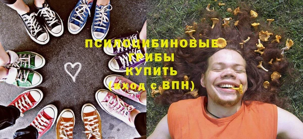бутират Белокуриха