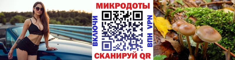 Галлюциногенные грибы мицелий  Балашиха 